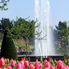 Amsterdam's Keukenhof Gardens Tulip Flowerfields and Keukenhof Garden Tour from Amsterdam