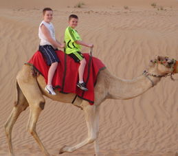 Dubai 4x4 Desert Sandboartding Safari 4x4 Desert Wonder Safari - Sandboarding, BBQ Dinner and Bellydancer