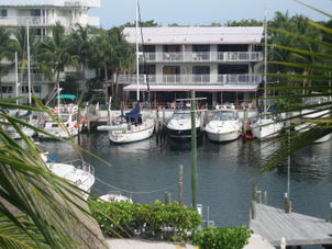 Key Largo Marina Overnight Swim with Dolphins and Everglades Airboat Adventure