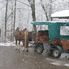 Horse-drawn Carraige Royal Castles of Neuschwanstein and Linderhof Day Tour from Munich