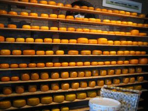 Cheese Factory Half Day Tour to Zaanse Schans Windmills, Marken and Volendam