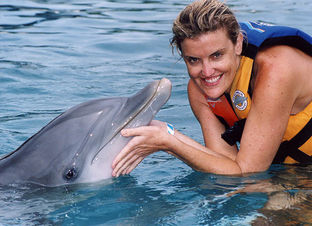 Oahu Dolphin Swim Hawaii Dolphin Royal Swim