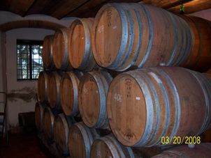 Cellar Chianti Region with Wine Tasting Afternoon Tuscany Tour from Florence