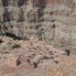 No guard rails! Grand Canyon West Rim Air Adventure