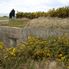 Normady German Defense Normandy Battlefields Tour - American World War II Beaches