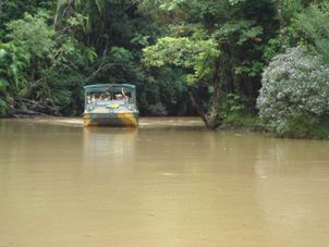 Army Duck Kuranda Rail, Rainforestation and Skyrail Tour