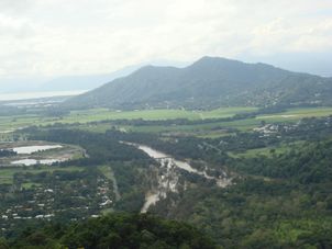 Train Views again Kuranda Rail, Rainforestation and Skyrail Tour