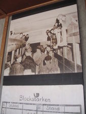 Bunks Dachau Concentration Camp Memorial Small Group Tour from Munich