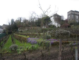 Only vineyard in Paris Paris Walking Tour - Montmartre