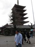 Nara Afternoon Tour - Todaiji, Deer Park, Kasuga Shrine