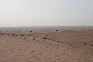 View from the top 4x4 Desert Wonder Safari - Sandboarding, BBQ Dinner and Bellydancer