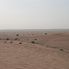 View from the top 4x4 Desert Wonder Safari - Sandboarding, BBQ Dinner and Bellydancer