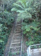 Rail Track in the valley Blue Mountains and Australian Wildlife Encounter Motorcoach Day Tour