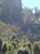 Cable Car Blue Mountains and Australian Wildlife Encounter Motorcoach Day Tour