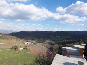 Chianti Hillside Chianti Region with Wine Tasting Afternoon Tuscany Tour from Florence