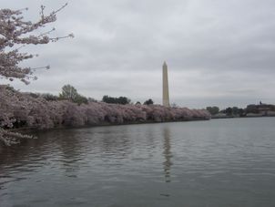 Washington Monument 2-Day Grand Tour of Washington DC