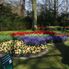 Typical view of the landscape at Keukonhof Tulip Flowerfields and Keukenhof Garden Tour from Amsterdam