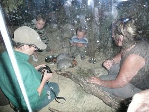 In a cage Sydney Taronga Zoo's Wild Australia Experience