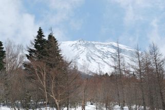 4th Station View Mt Fuji and Hakone Day Tour from Tokyo: Return by Bullet Train