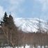 4th Station View Mt Fuji and Hakone Day Tour from Tokyo: Return by Bullet Train