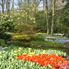 Keukenhof Gardens Holland Tulip Flowerfields and Keukenhof Garden Tour from Amsterdam