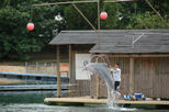 Afternoon Till Sunset at Sentosa Island - Singapore