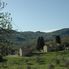 Olive trees Chianti Region with Wine Tasting Afternoon Tuscany Tour from Florence
