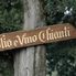 Castello del Trebbio Chianti Region with Wine Tasting Afternoon Tuscany Tour from Florence