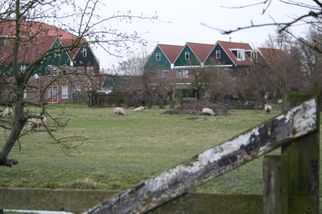 Marken Half Day Tour to Zaanse Schans Windmills, Marken and Volendam