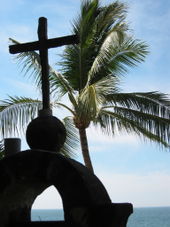 Puerto Vallarta City Tour - Palm Trees Puerto Vallarta City Tour