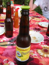 Puerto Vallarta City Tour - Lunch! Puerto Vallarta City Tour