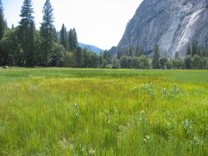 Yosemite Valley Yosemite National Park