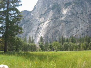 Yosemite Valley Yosemite National Park