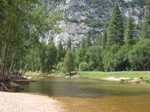 Yosemite - River in the Valley Yosemite National Park