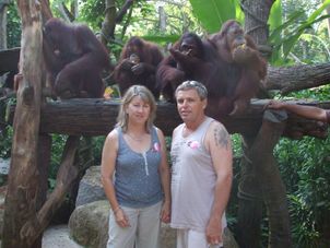 Zoo Visit Morning at the Singapore Zoo with optional Jungle Breakfast with Orangutans
