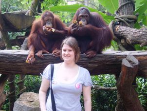 Breakfast with the Orangutans Morning at the Singapore Zoo with optional Jungle Breakfast with Orangutans