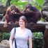 Breakfast with the Orangutans Morning at the Singapore Zoo with optional Jungle Breakfast with Orangutans