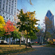 Montreal City Hop-on Hop-off Tour