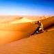 Things to see and do in Dubai