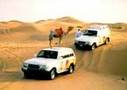 Things to see and do in Dubai