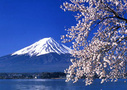 Mt Fuji Tours