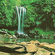 Brisbane Tours, Attractions, Activities & things to do