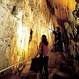 Auckland Tours, Activities & Attractions