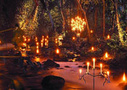 Cairns Tours & Activities