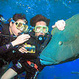 Cairns Tours & Activities