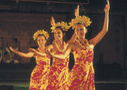 Oahu tours, sightseeing and things to do