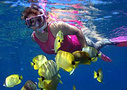 Kauai tours, sightseeing and things to do