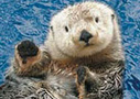 Vancouver tours, attractions and things to do