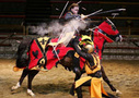 Medieval Times Dinner & Tournament