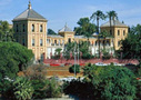 Costa del Sol tours, attractions & activities